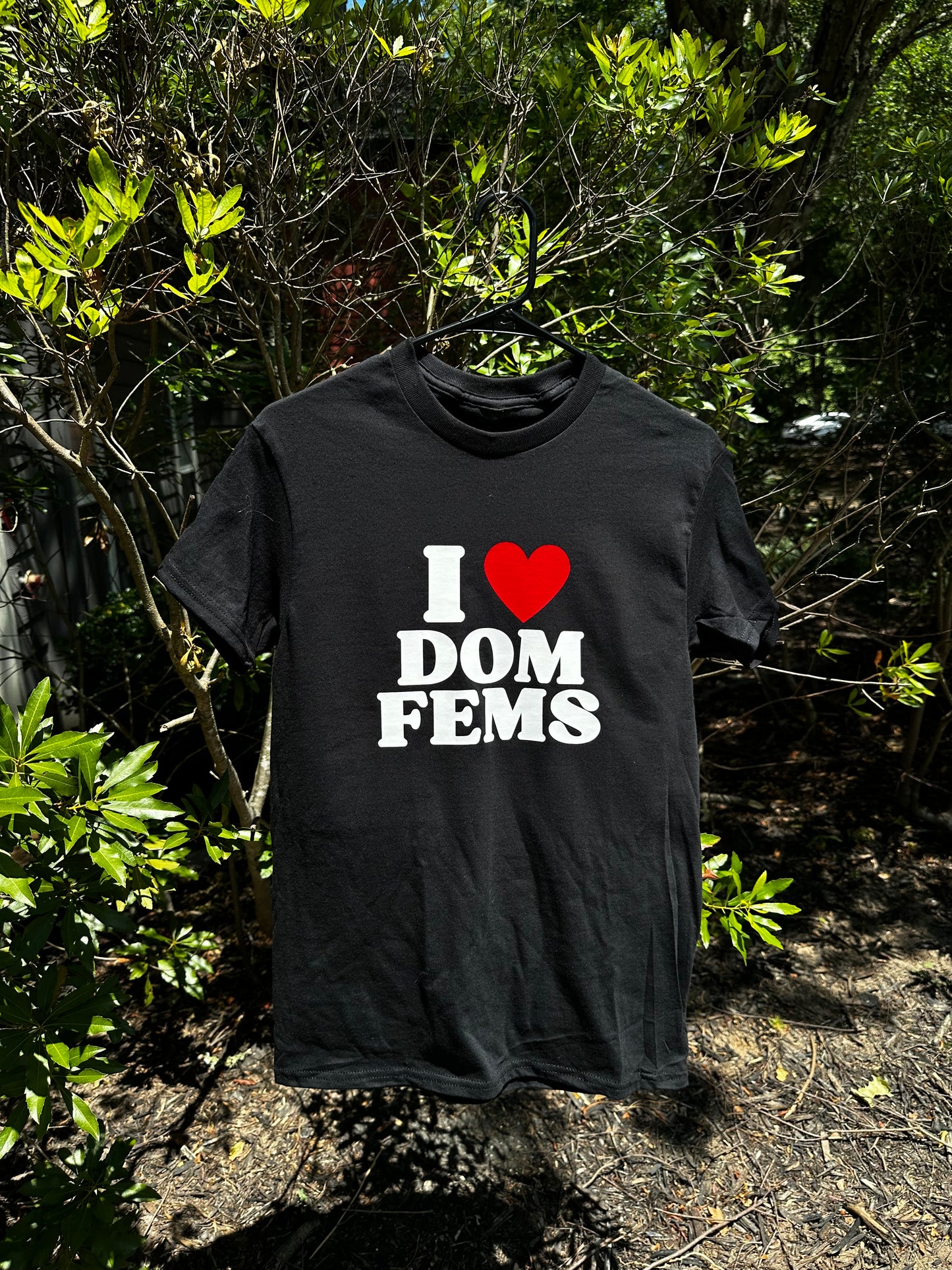 I Love Dom Fems
